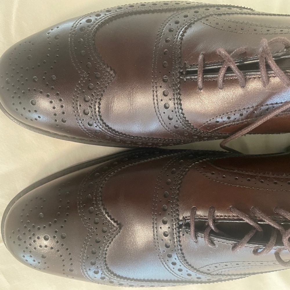 Allen Edmonds Wingtip Oxford Dress Shoe (McAllister)